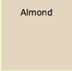 Amsco Almond Color Window